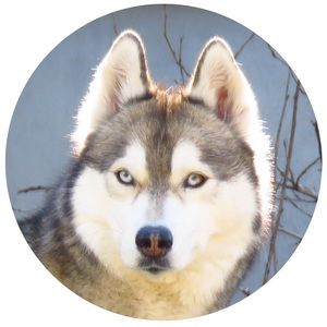 Meet your Posher, Kara